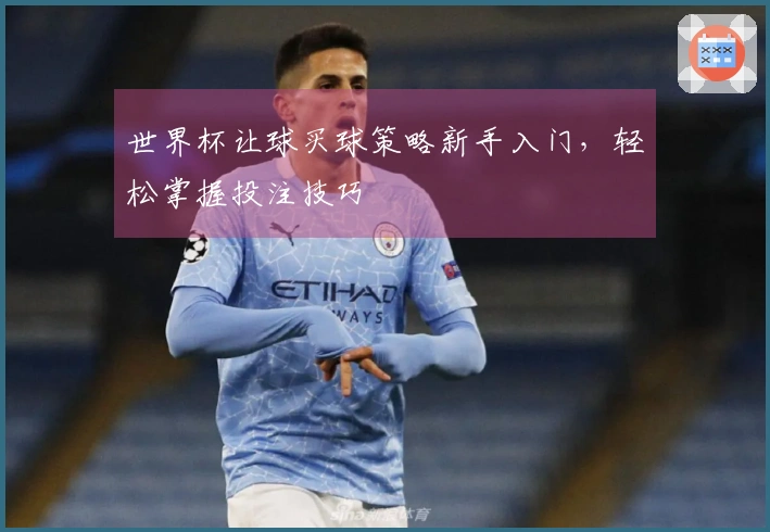 世界杯让球买球策略新手入门，轻松掌握投注技巧
