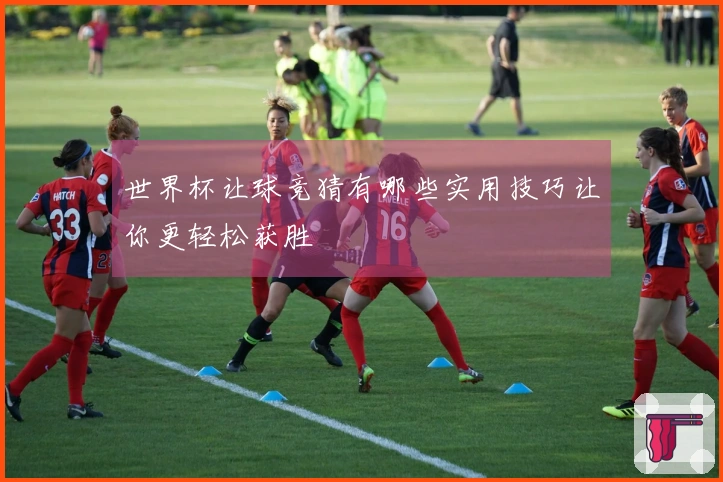 世界杯让球竞猜有哪些实用技巧让你更轻松获胜