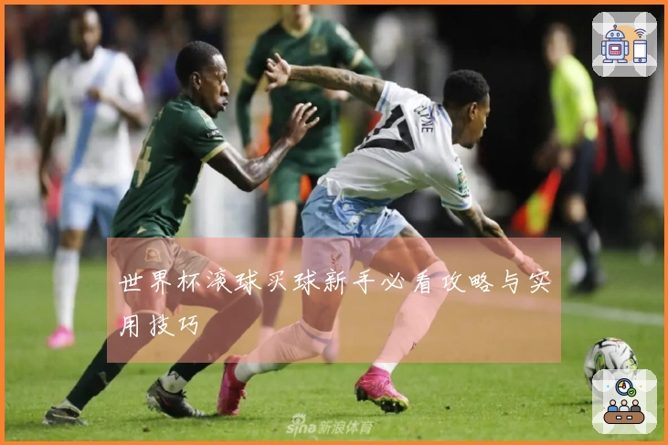 世界杯滚球买球新手必看攻略与实用技巧